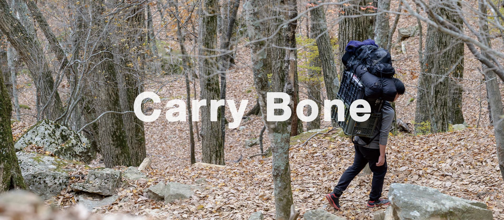 Carry Bone